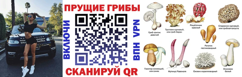Галлюциногенные грибы ЛСД  Луховицы 