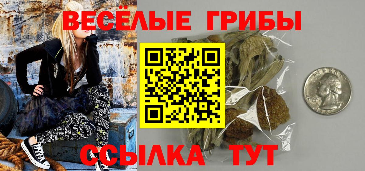 Галлюциногенные грибы мицелий  Вход с VPN  закладки  Луховицы 